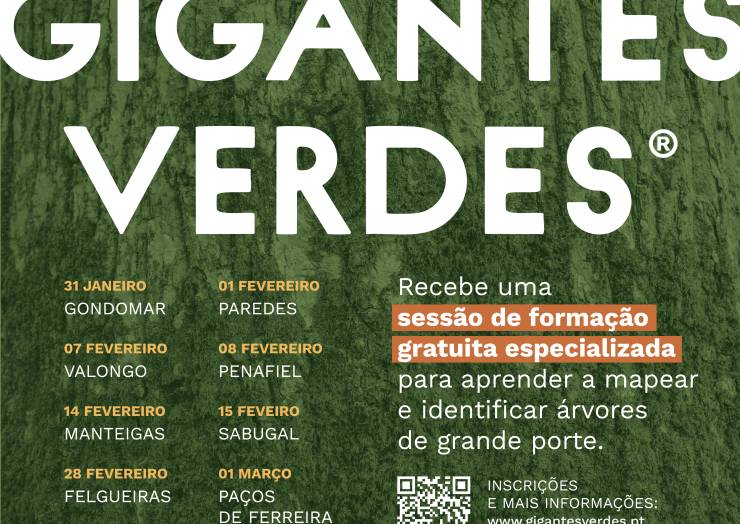 GIGANTES VERDES EM PENAFIEL