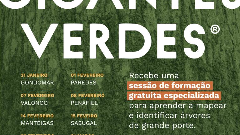 GIGANTES VERDES EM PENAFIEL