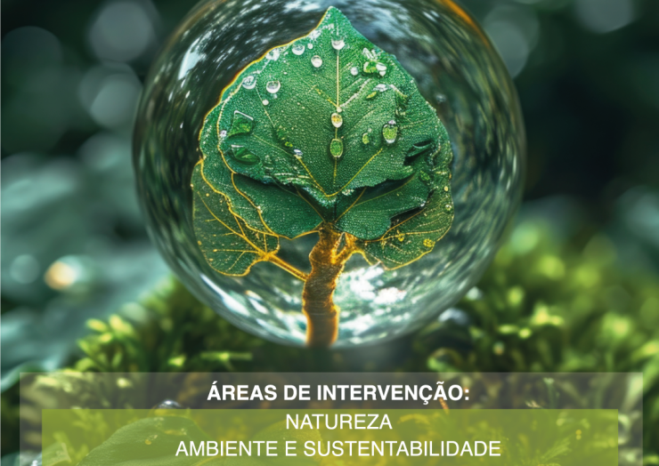 CÂMARA DE PENAFIEL LANÇA PLANO MUNICIPAL DE EDUCAÇÃO E SENSIBILIZAÇÃO AMBIENTAL